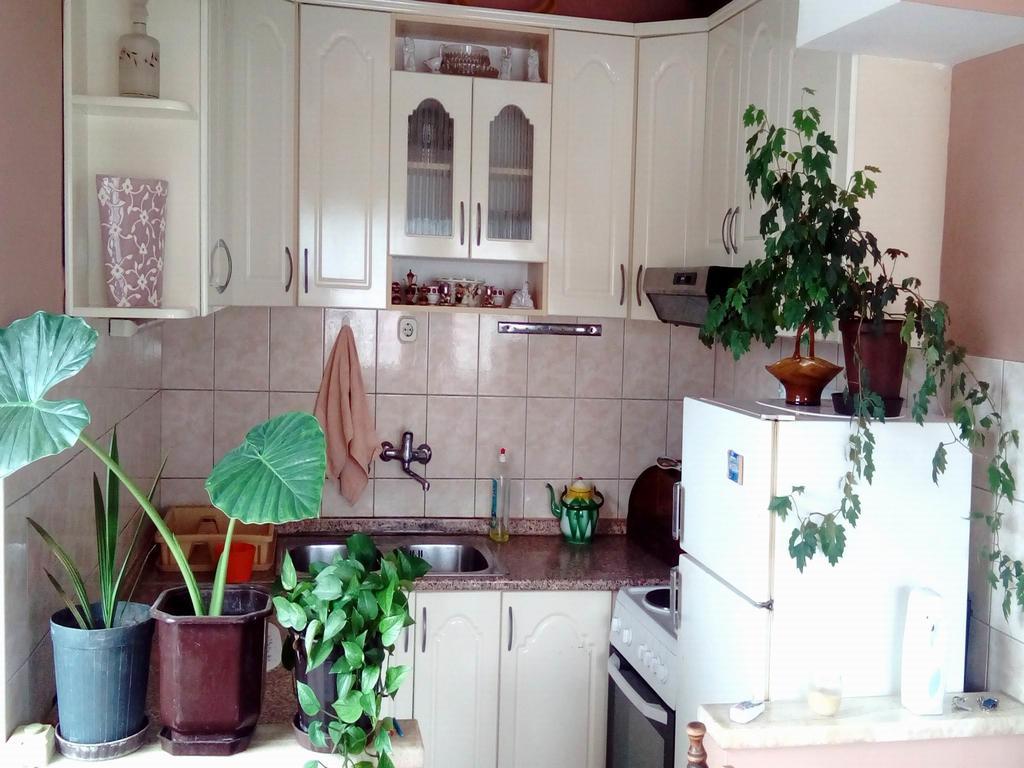 Apartment Luka Ohrid Rum bild